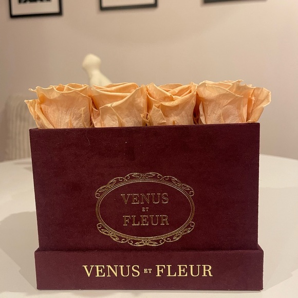 Venus Et Fleur Box with Pearl Roses - Picture 1 of 3